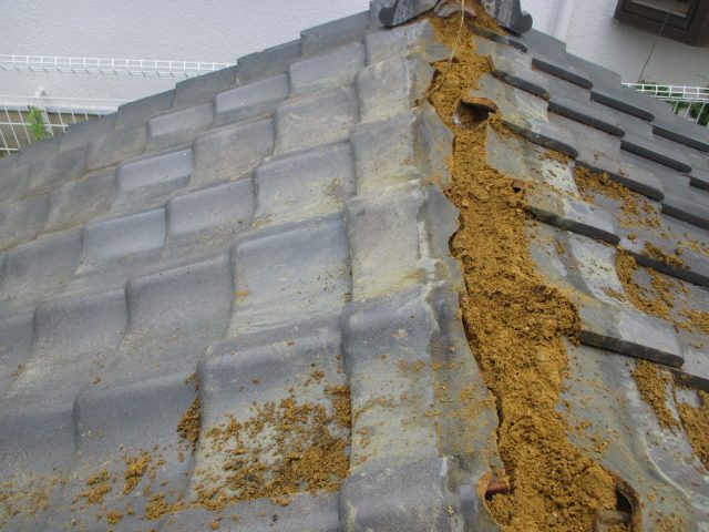 稲美町の既存棟撤去後